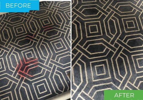 Carpet Cleaning Services